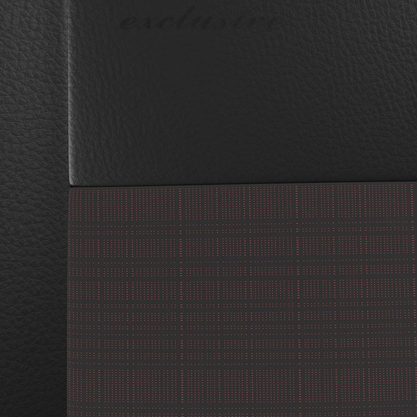 Huse auto universale pentru Mitsubishi Grandis (2003-2011) - EXL-5