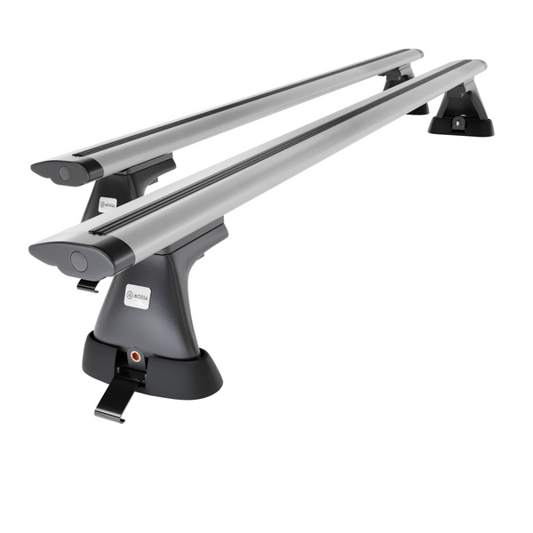 Portbagaj de bază pentru plafonul mașinii pentru: Citroen Xsara Picasso Dubita (2000-2006) - argintiu - puncte de montare - aluminiu